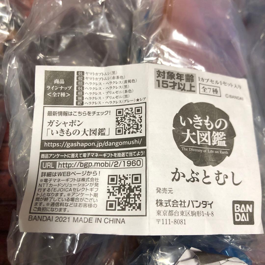 ガシャポン　いきもの大図鑑　かぶとむし 01 全7種　フルコンプ