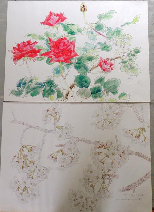 複製画 ★ 中島千波 花の写生12葉 ★ 求龍堂
