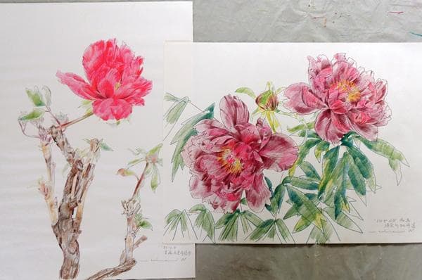 複製画 ★ 中島千波 花の写生12葉 ★ 求龍堂