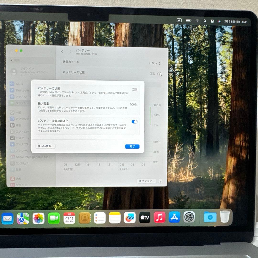 【美品】MacBookAir13インチ/スカイブルー/M4/16GB/256GB