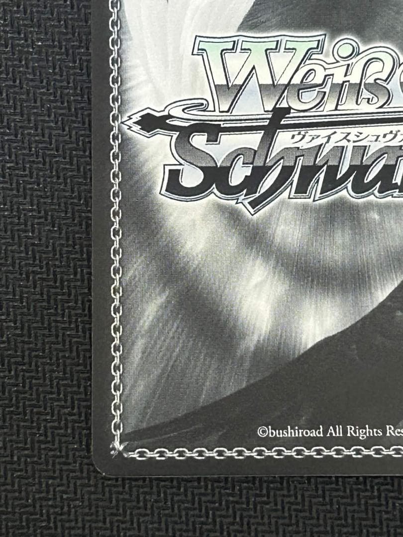 \"トカゲの保護\"ティア SP [NIK/S117-001SP]