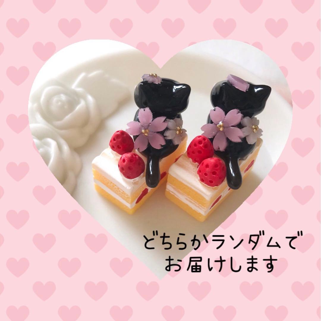 ショートケーキとおすわりねこちゃん　くろねこ×桜