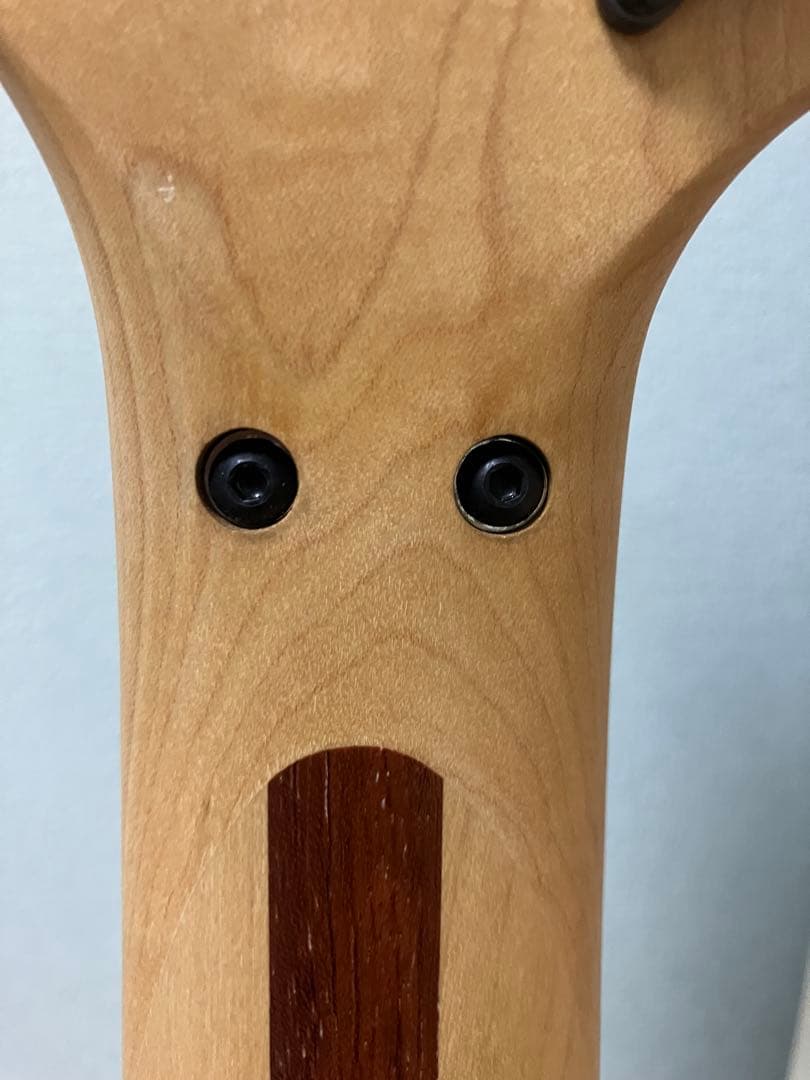 アイバニーズ　RG 7弦　フジゲン製