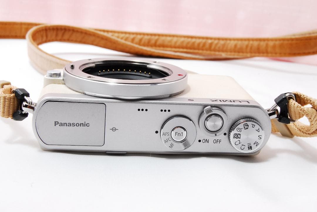 〓Wi-Fi機能搭載〓パナソニック Panasonic LUMIX GM1
