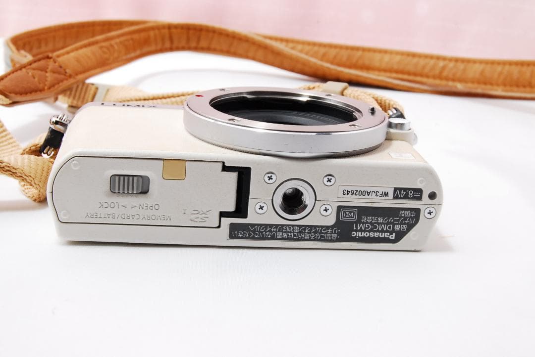 〓Wi-Fi機能搭載〓パナソニック Panasonic LUMIX GM1