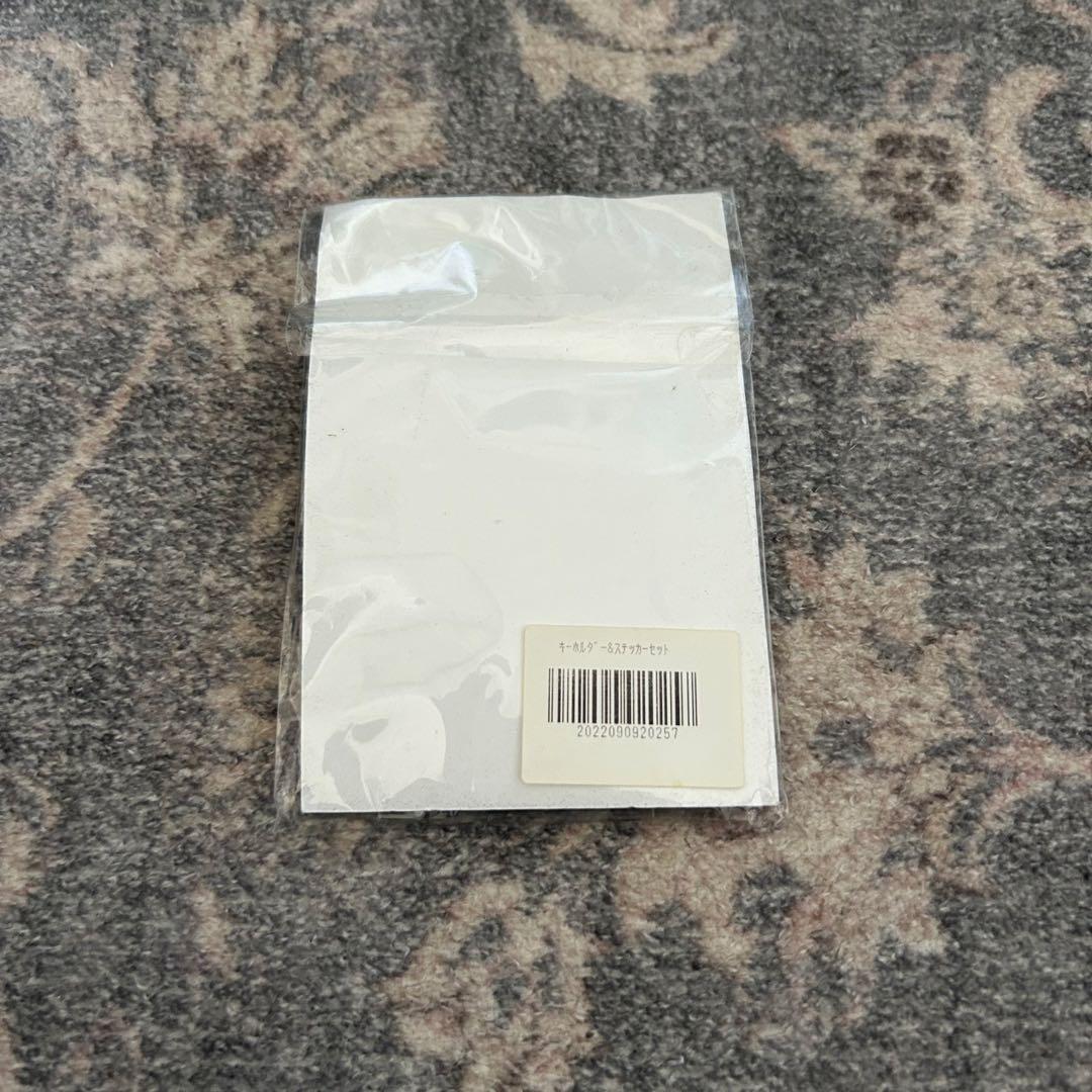 【新品未使用】 Tele 東京宣言　キーホルダー＆ステッカーセット