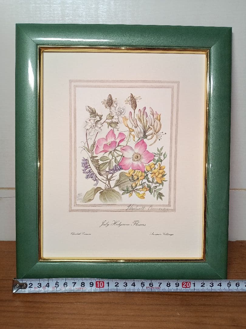 July Wildflowers エリザベス・キャメロン