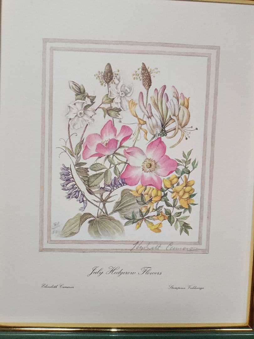 July Wildflowers エリザベス・キャメロン