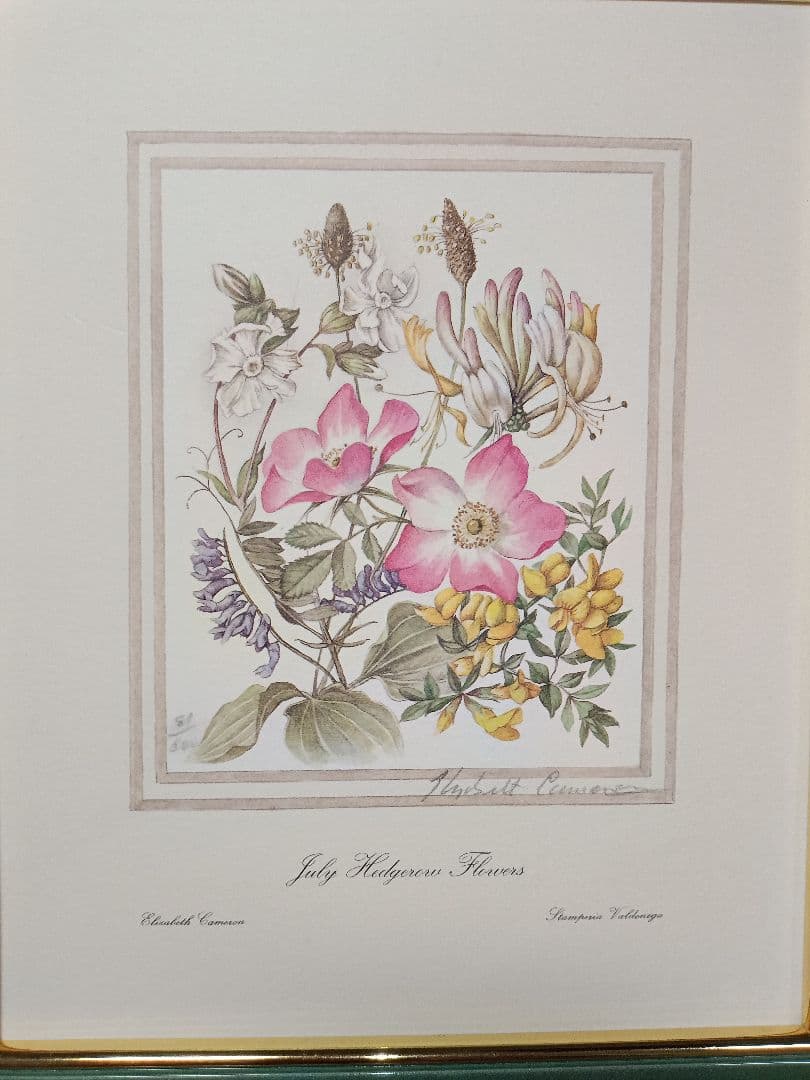 July Wildflowers エリザベス・キャメロン