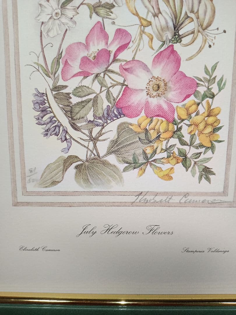 July Wildflowers エリザベス・キャメロン
