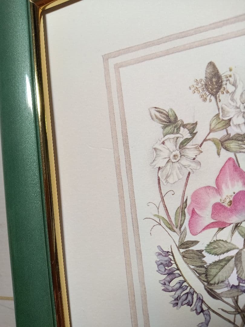 July Wildflowers エリザベス・キャメロン