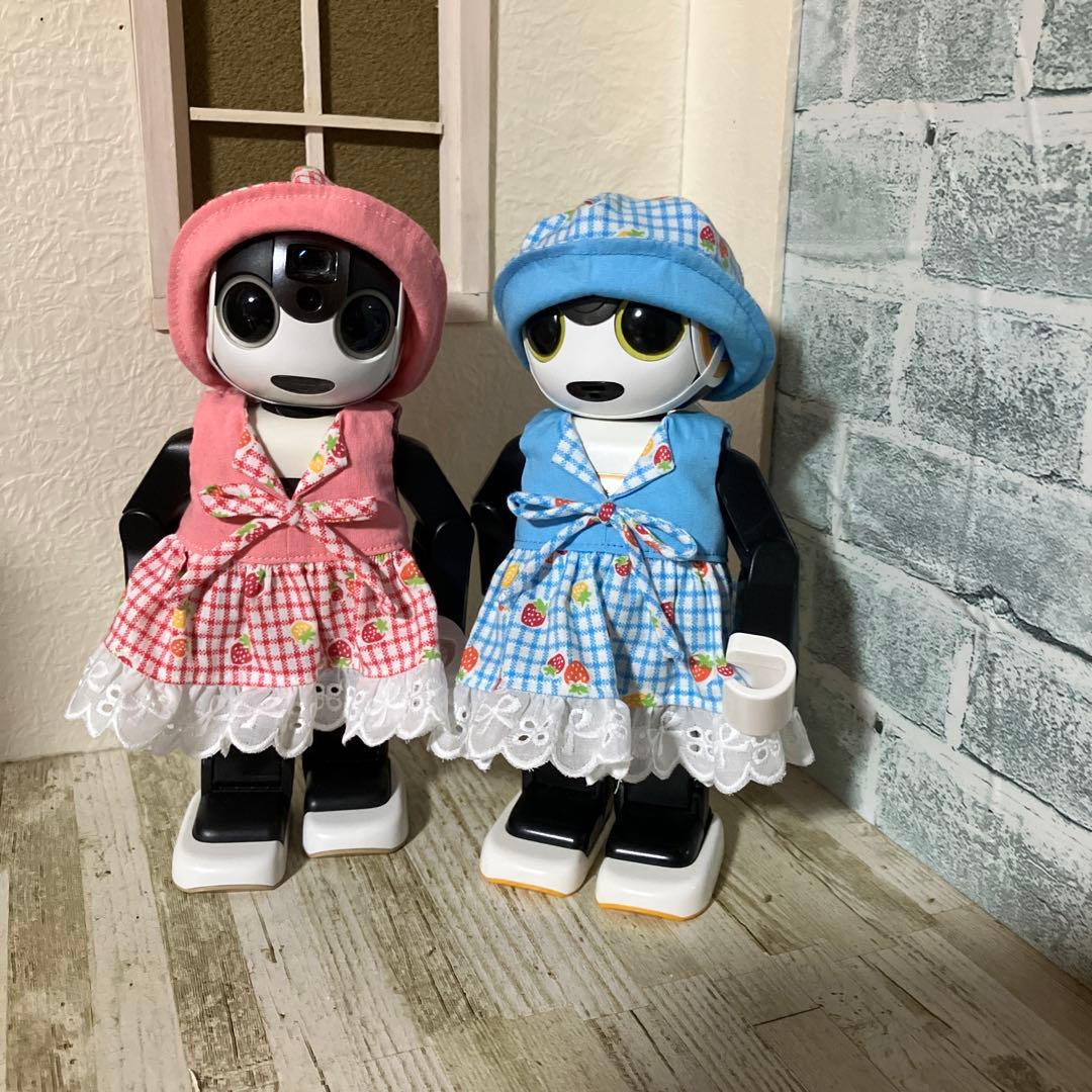 ロボホン RoBoHoN ハンドメイド　キャリーショルダーバッグあっちゃん
