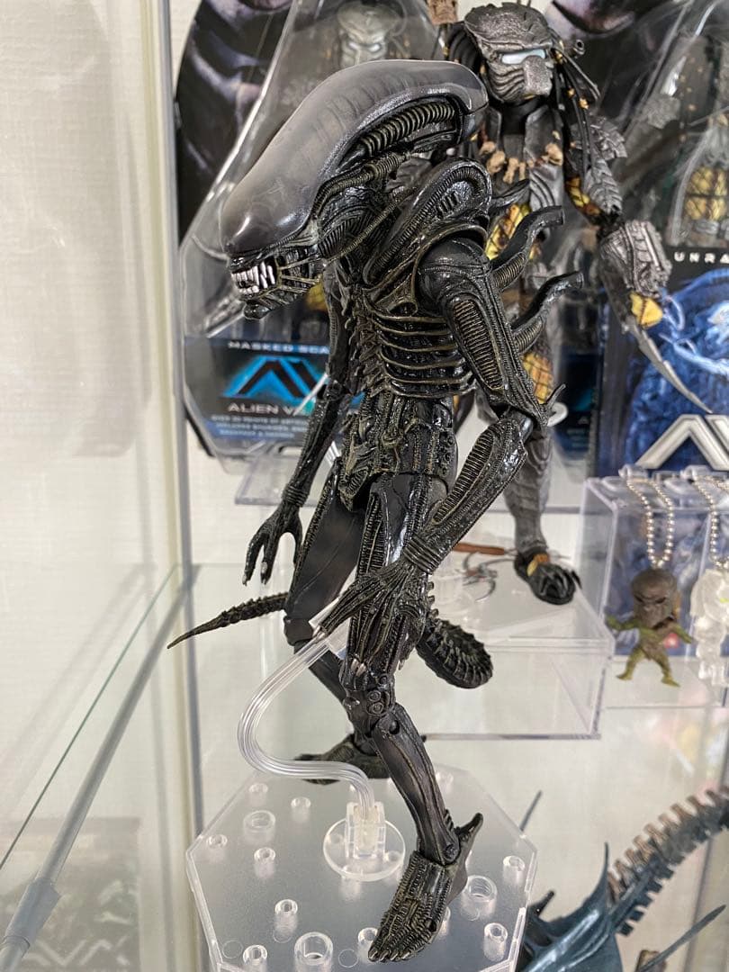 ネカ NECA エイリアン ビッグチャップ アルティメット 40th プレデター