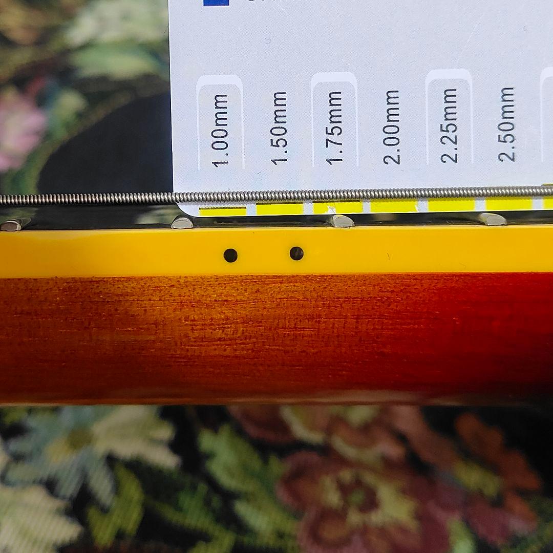 Ibanez ASV93-TDL 5B-01 レリックパーツ バースト セミアコ