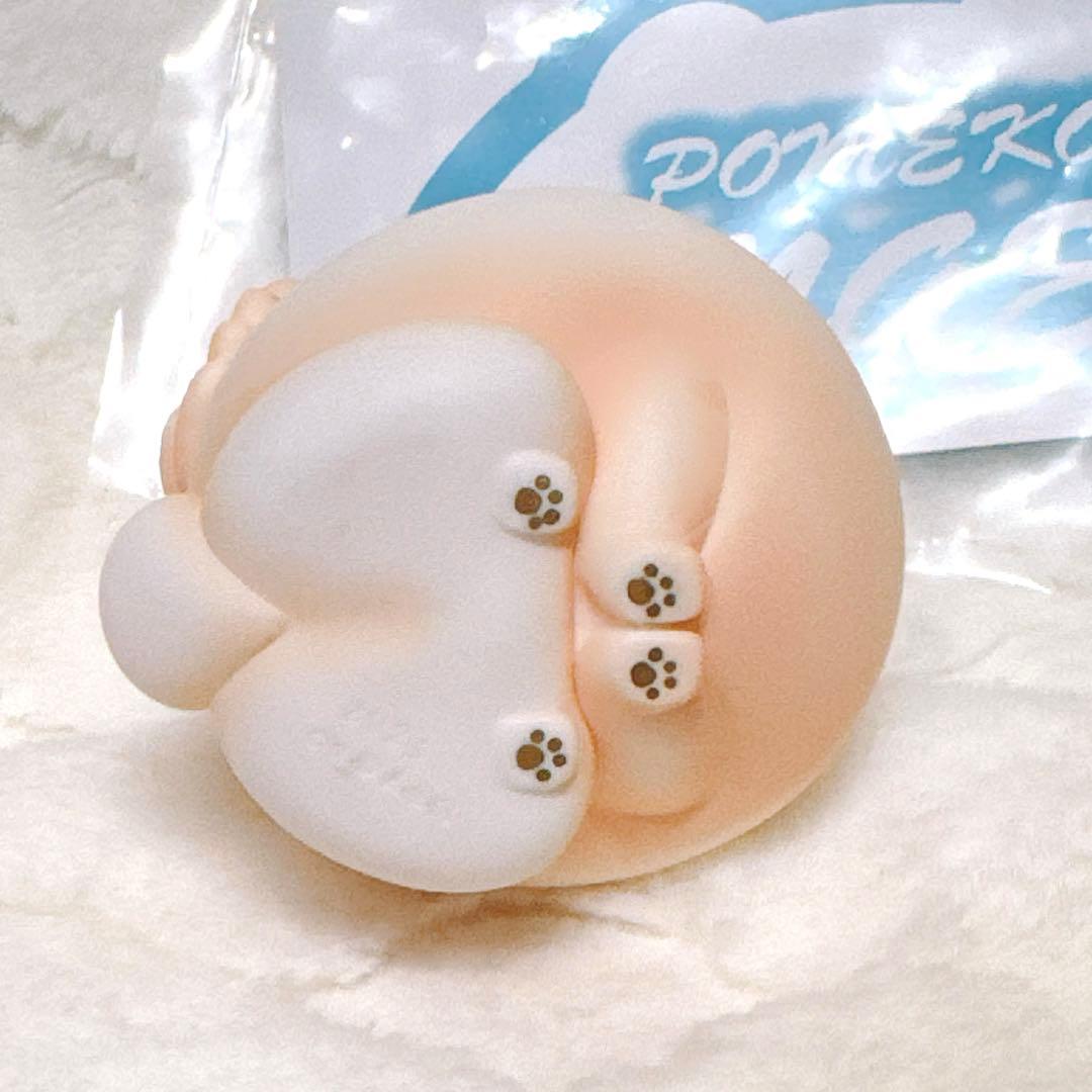 ポメ公 エンジェル