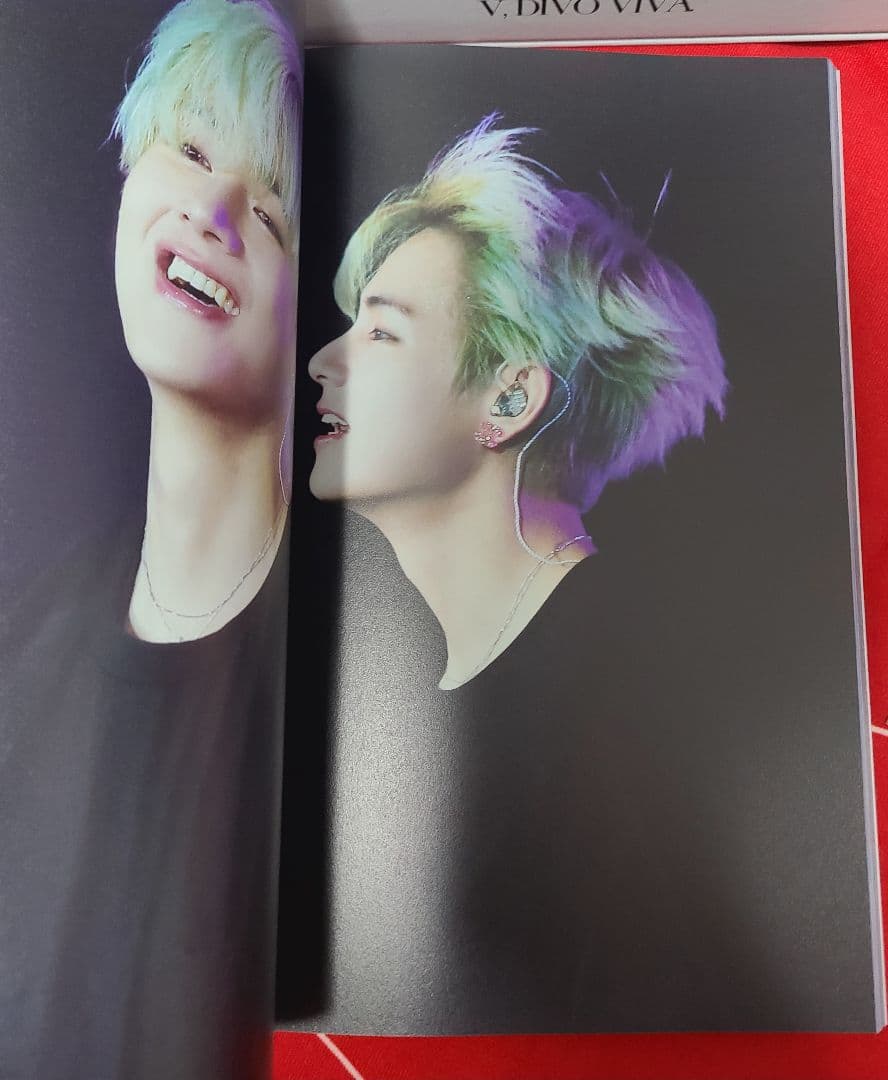 BTS V テヒョン テテ マスター 写真集