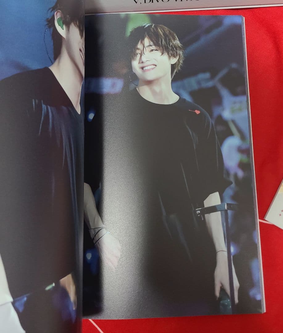 BTS V テヒョン テテ マスター 写真集