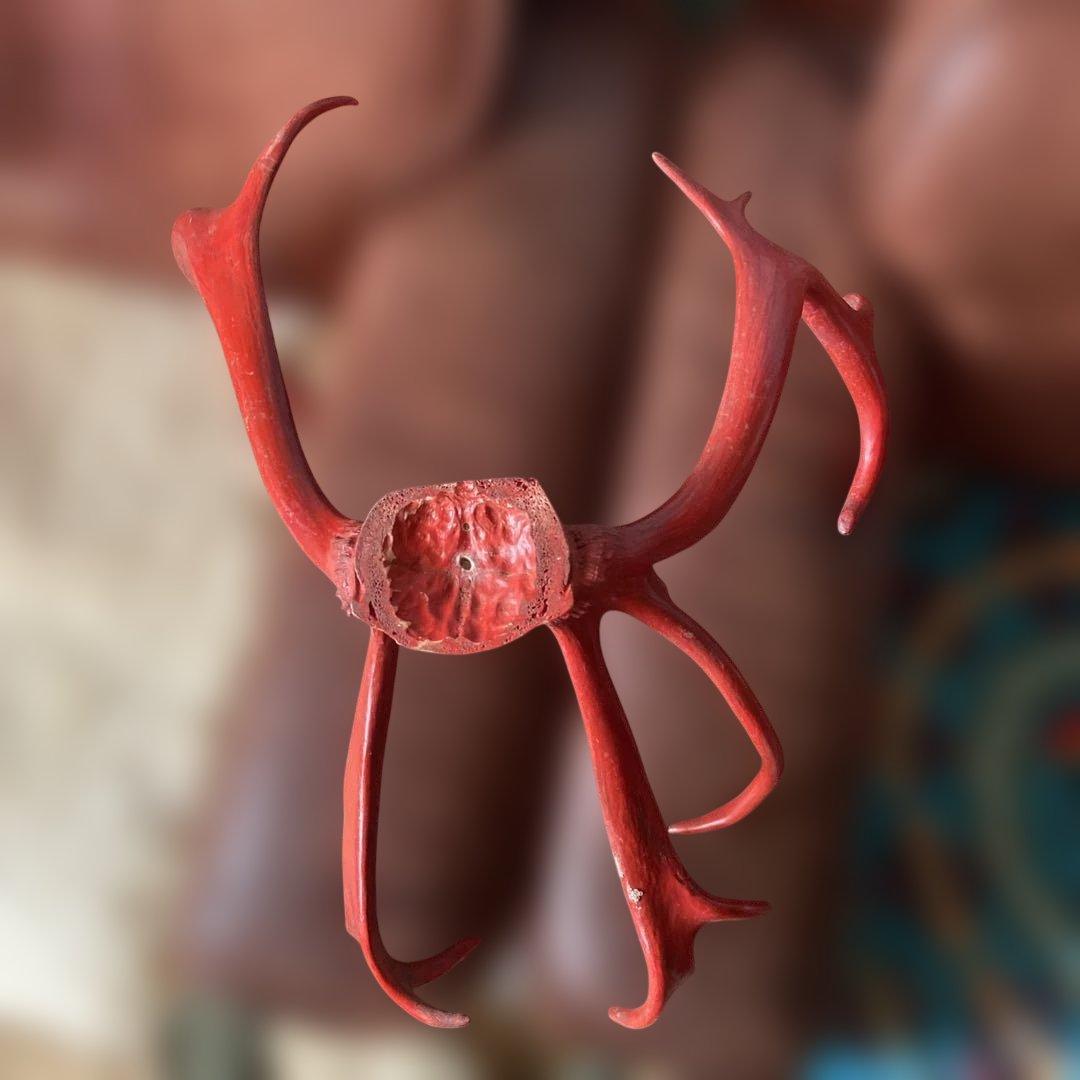 トナカイの角　2匹分