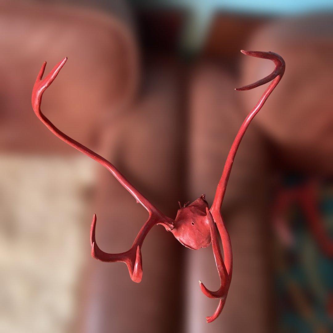 トナカイの角　2匹分