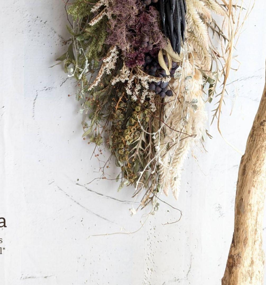 専用＊winter＊D. Nプロテア＆パンパス ドライフラワースワッグ