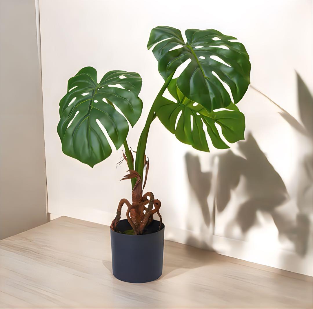 光触媒　人工観葉植物　ウォールグリーン　フェイクグリーン　フレッシュモンステラ