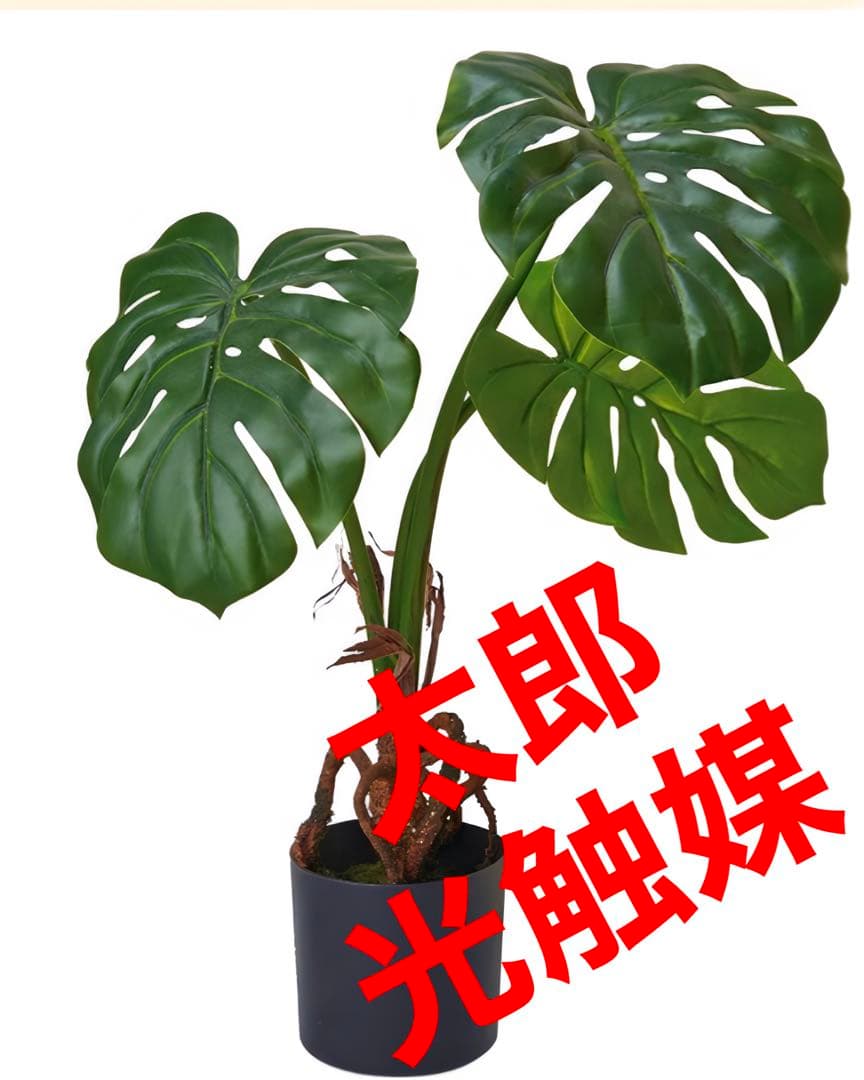 光触媒　人工観葉植物　ウォールグリーン　フェイクグリーン　フレッシュモンステラ