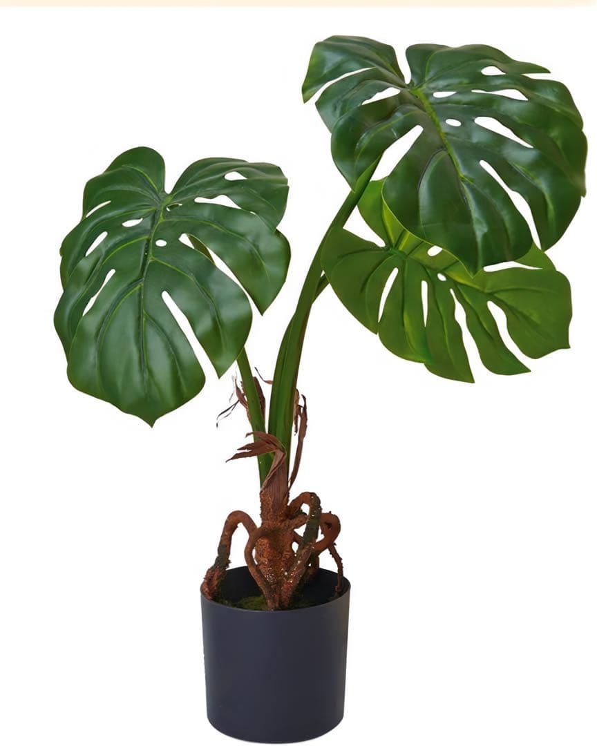 光触媒　人工観葉植物　ウォールグリーン　フェイクグリーン　フレッシュモンステラ