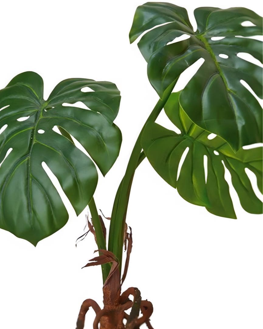 光触媒　人工観葉植物　ウォールグリーン　フェイクグリーン　フレッシュモンステラ