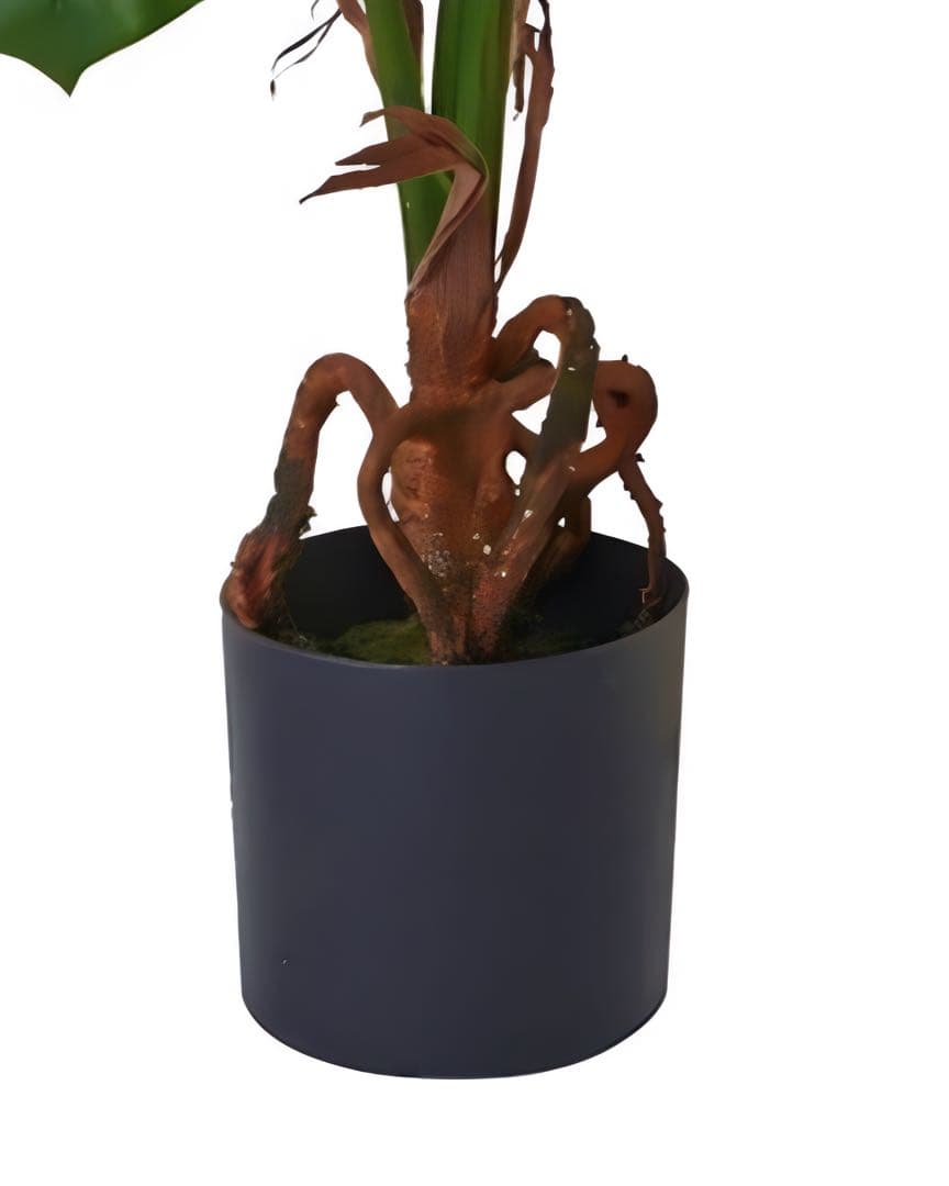 光触媒　人工観葉植物　ウォールグリーン　フェイクグリーン　フレッシュモンステラ