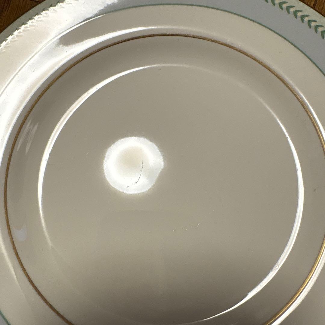 廃盤品　ロイヤルドルトン　ニューロマンスシリーズ　エティエンヌ　プレート　9枚