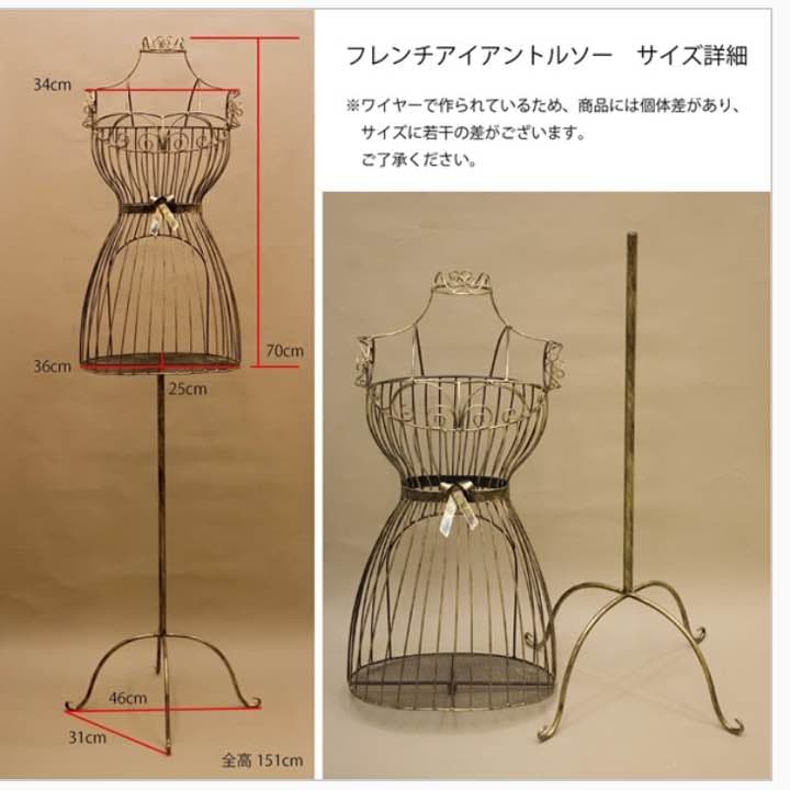 フレンチトルソー