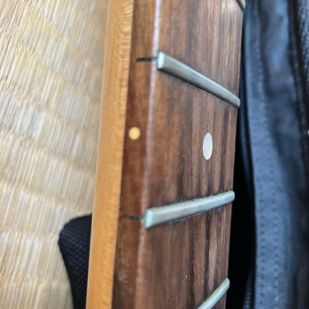 t*4様 Photogenic エレキギター