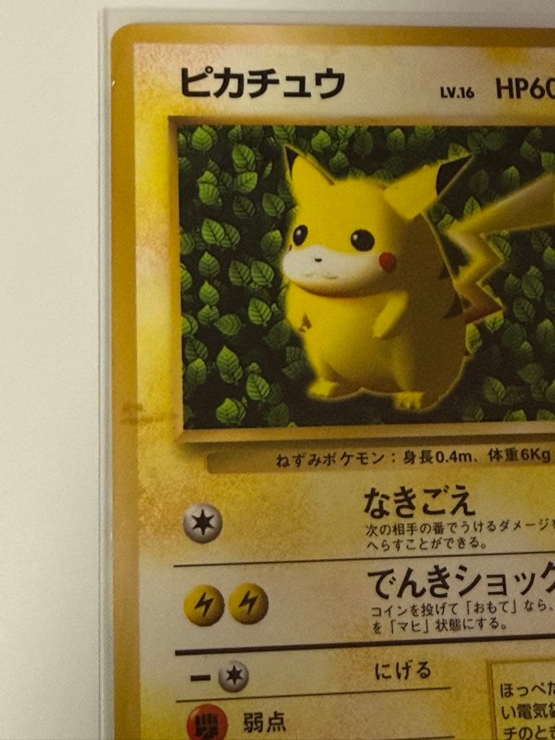 ★枠ずれ　ピカチュウ 旧裏 誤表記 プロモ　ken sugimori