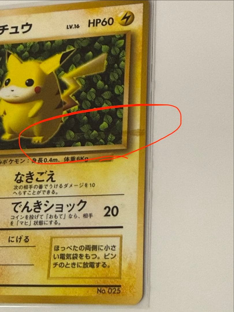 ★枠ずれ　ピカチュウ 旧裏 誤表記 プロモ　ken sugimori