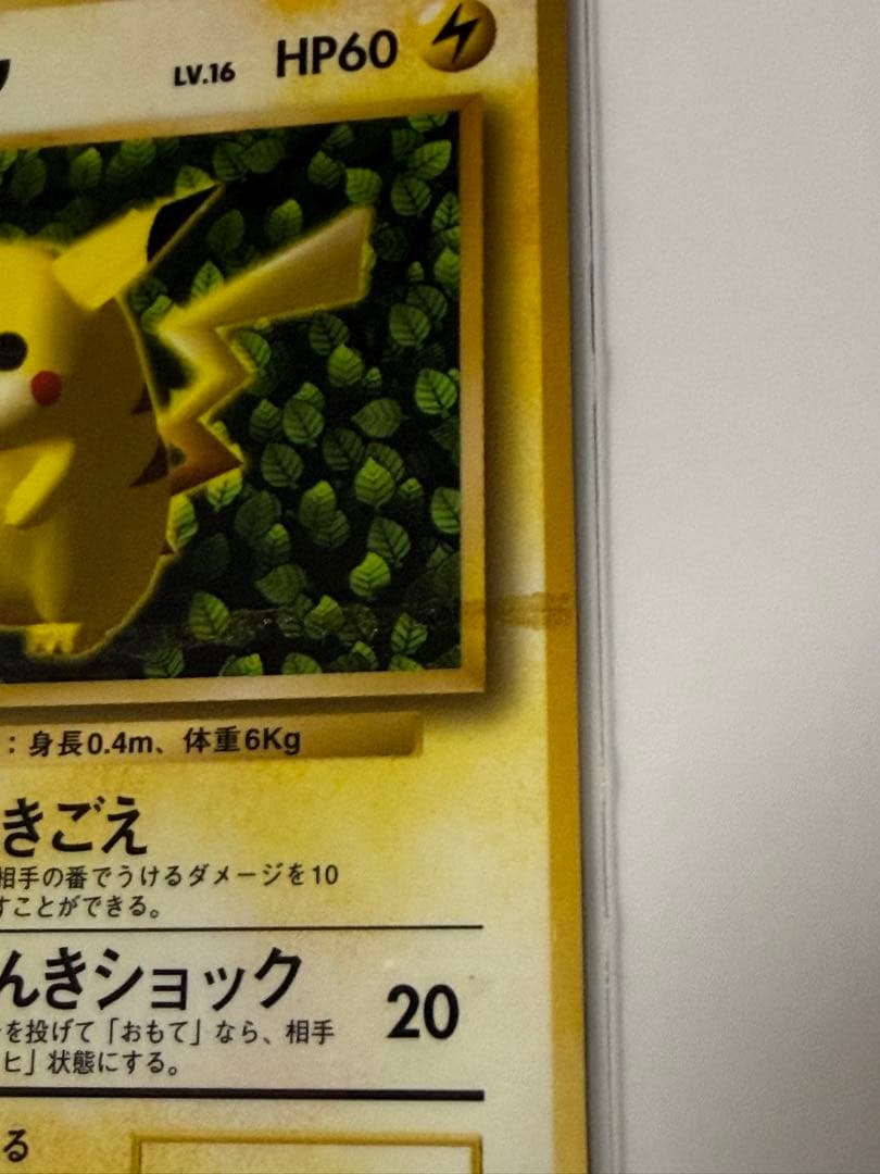 ★枠ずれ　ピカチュウ 旧裏 誤表記 プロモ　ken sugimori