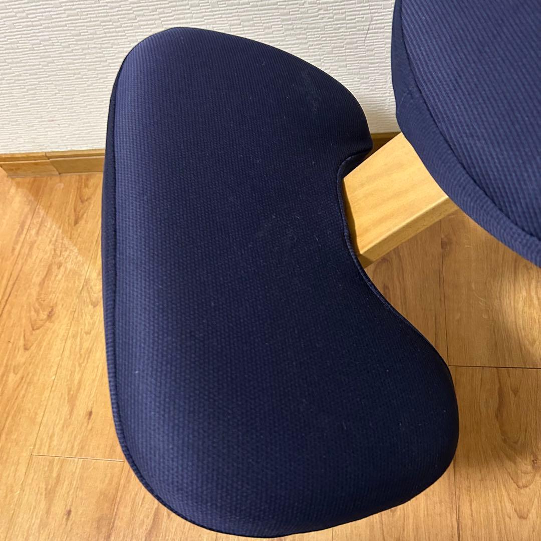 美品！★サカモトハウス★バランスチェア バランスイージー★専用カバー付★リボ社