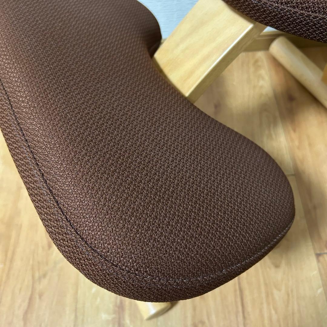 美品！★サカモトハウス★バランスチェア バランスイージー★専用カバー付★リボ社