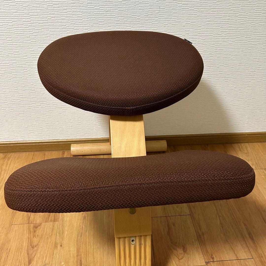 美品！★サカモトハウス★バランスチェア バランスイージー★専用カバー付★リボ社