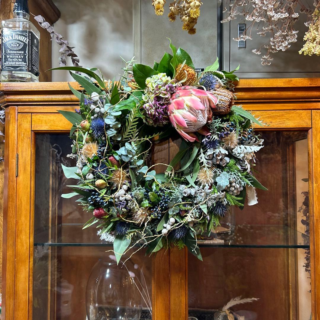 レッドレックスのリース