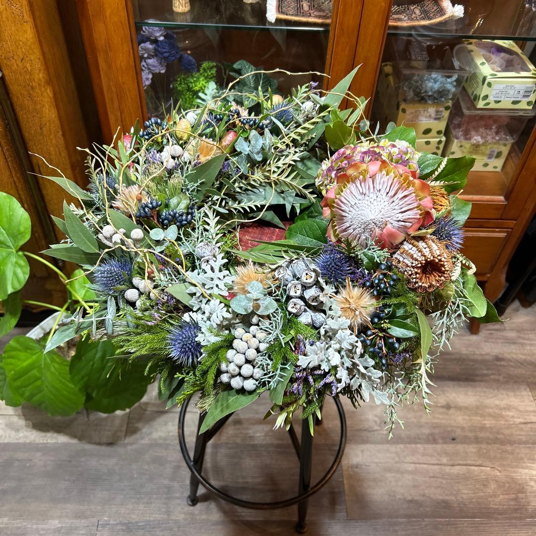 レッドレックスのリース