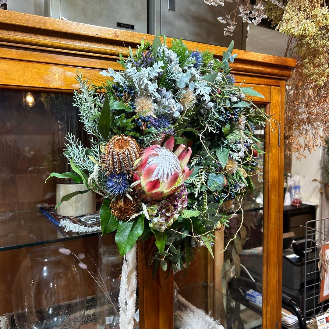 レッドレックスのリース