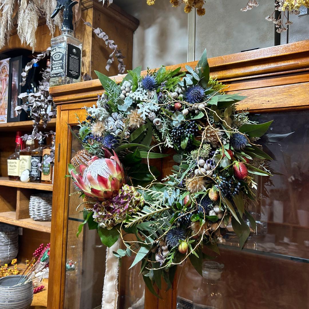 レッドレックスのリース