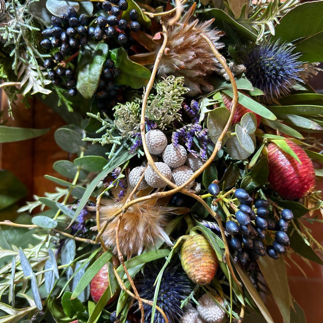 レッドレックスのリース