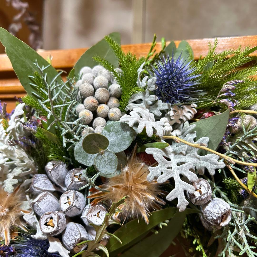 レッドレックスのリース