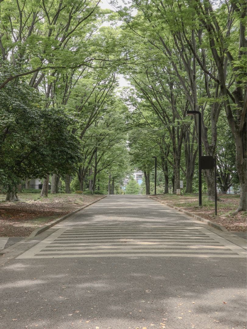 【値下げ不可】Canon EOS M100 ミラーレス一眼カメラ シルバー