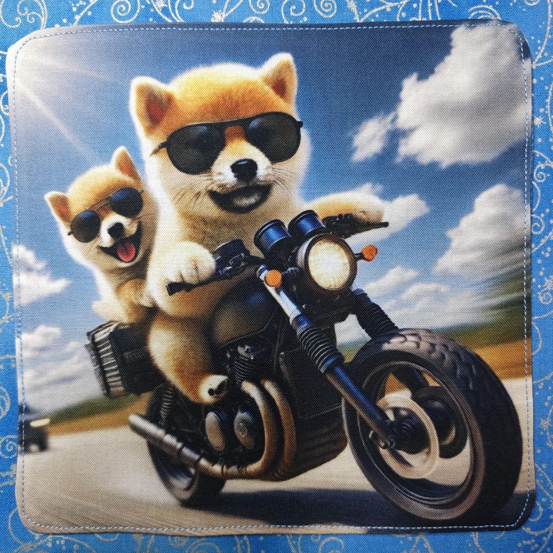 MAY 　ハンカチ　柴犬さん＆ネコちゃん柄　19枚