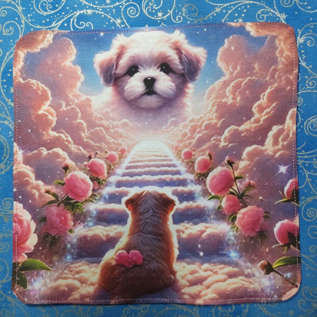 MAY 　ハンカチ　柴犬さん＆ネコちゃん柄　19枚