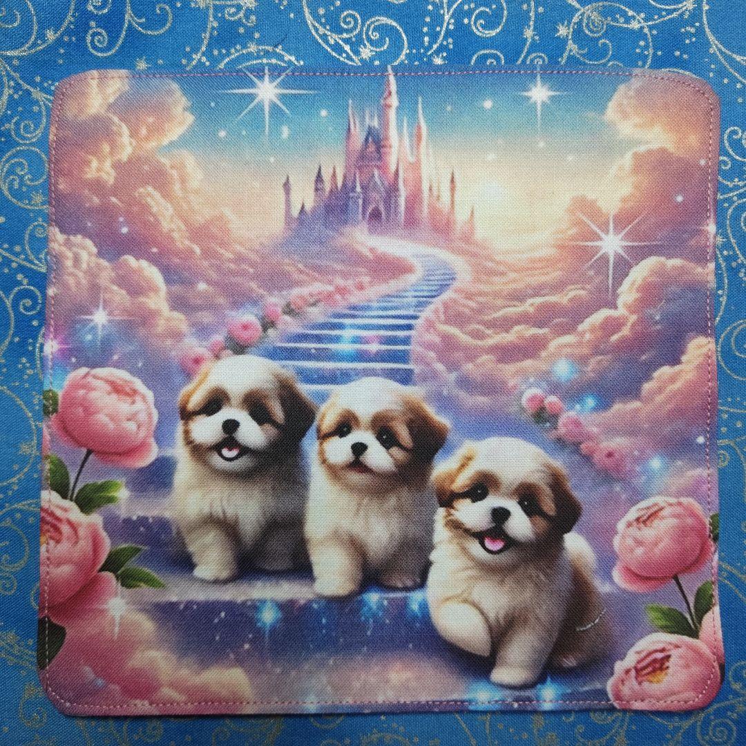 MAY 　ハンカチ　柴犬さん＆ネコちゃん柄　19枚