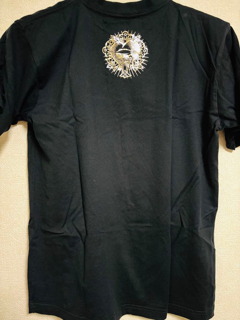 ポルノグラフィティ ツアーTシャツ　10枚まとめ売り