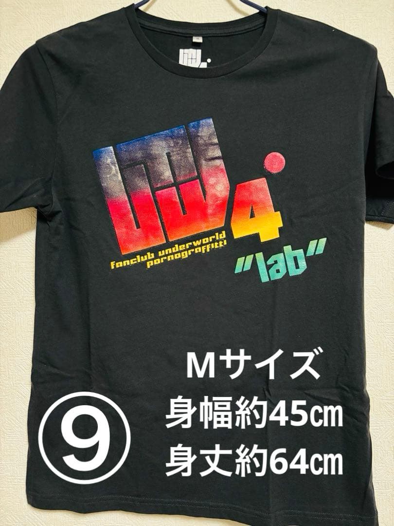ポルノグラフィティ ツアーTシャツ　10枚まとめ売り